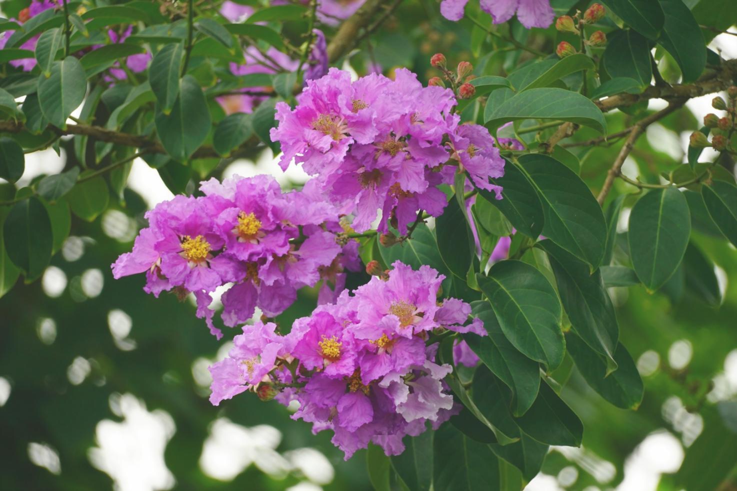 Event setup showing the expansion of our mobile floral services